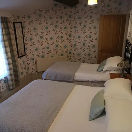 Guest house East Mount House 3*